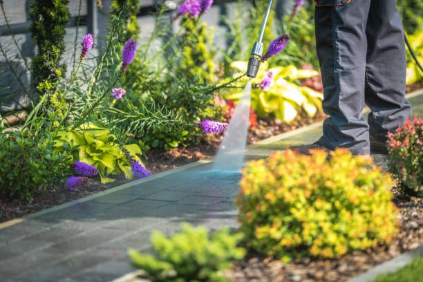 Best Fence Cleaning  in Homer, AK