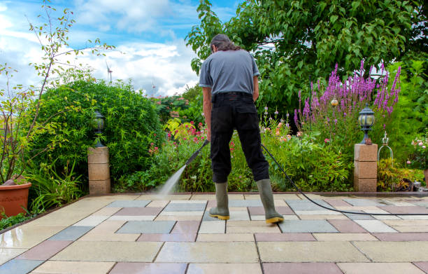 Best Animal Enclosure Cleaning  in Homer, AK
