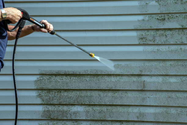 Professional Pressure Washing Services in Homer, AK